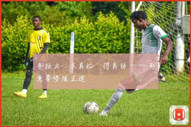 弃拙力・求真松・得真劲 —— 形意拳修炼正途