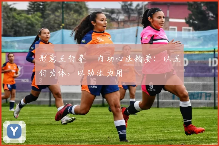 形意五行拳・内功心法精要：以五行为体，以劲法为用