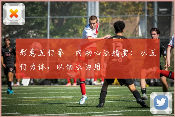 形意五行拳・内功心法精要：以五行为体，以劲法为用