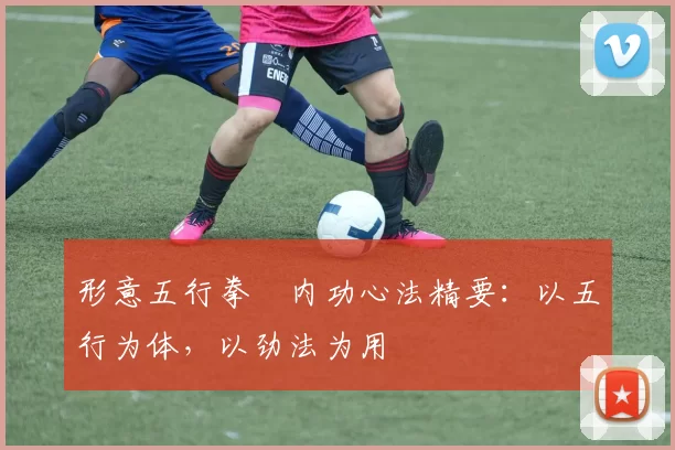 形意五行拳・内功心法精要:以五行为体,以劲法为用