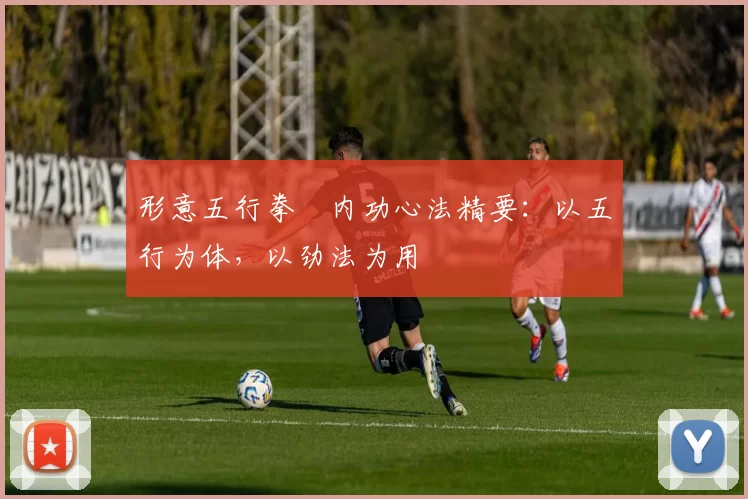 形意五行拳・内功心法精要:以五行为体,以劲法为用