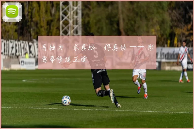 弃拙力・求真松・得真劲 —— 形意拳修炼正途