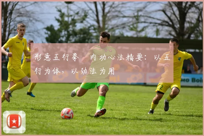 形意五行拳・内功心法精要：以五行为体，以劲法为用