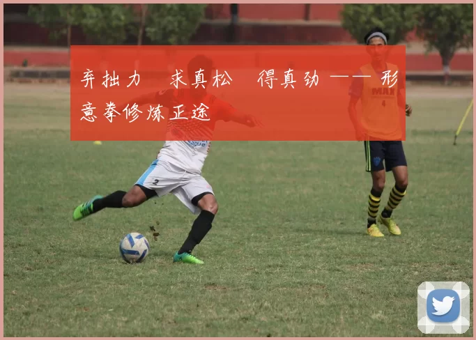 弃拙力・求真松・得真劲 —— 形意拳修炼正途