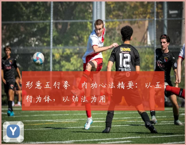 形意五行拳・内功心法精要：以五行为体，以劲法为用