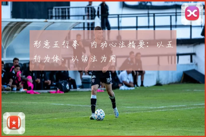 形意五行拳・内功心法精要:以五行为体,以劲法为用