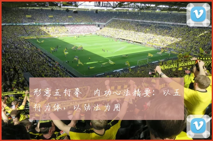 形意五行拳・内功心法精要：以五行为体，以劲法为用