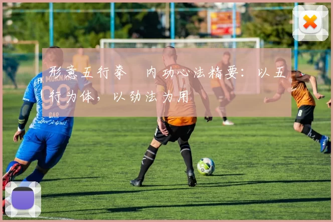 形意五行拳・内功心法精要:以五行为体,以劲法为用