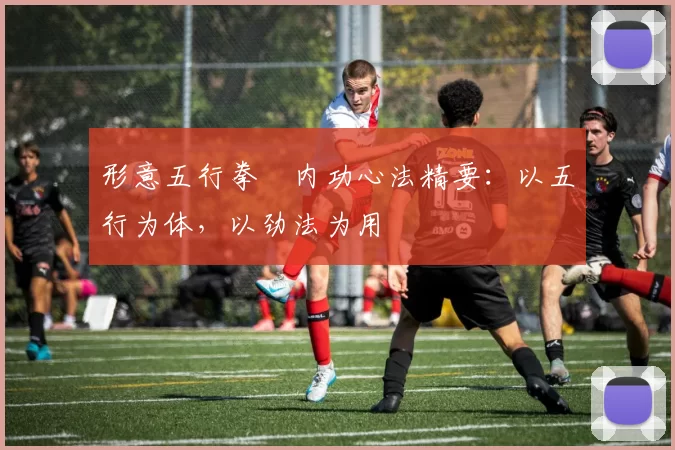 形意五行拳・内功心法精要：以五行为体，以劲法为用
