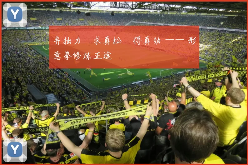 弃拙力・求真松・得真劲 —— 形意拳修炼正途