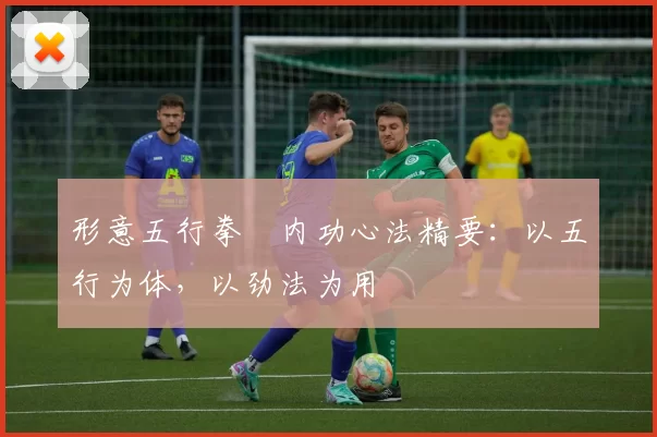 形意五行拳・内功心法精要：以五行为体，以劲法为用