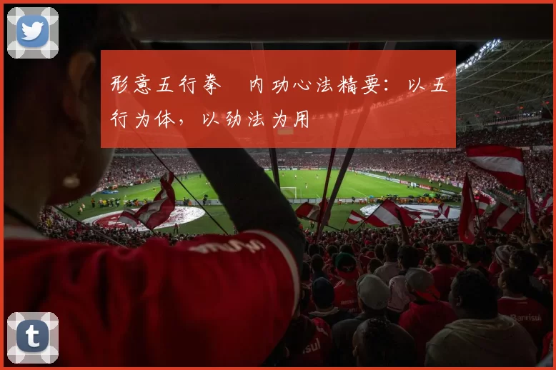 形意五行拳・内功心法精要：以五行为体，以劲法为用