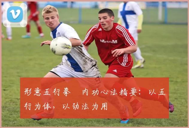 形意五行拳・内功心法精要：以五行为体，以劲法为用