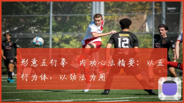 形意五行拳・内功心法精要:以五行为体,以劲法为用