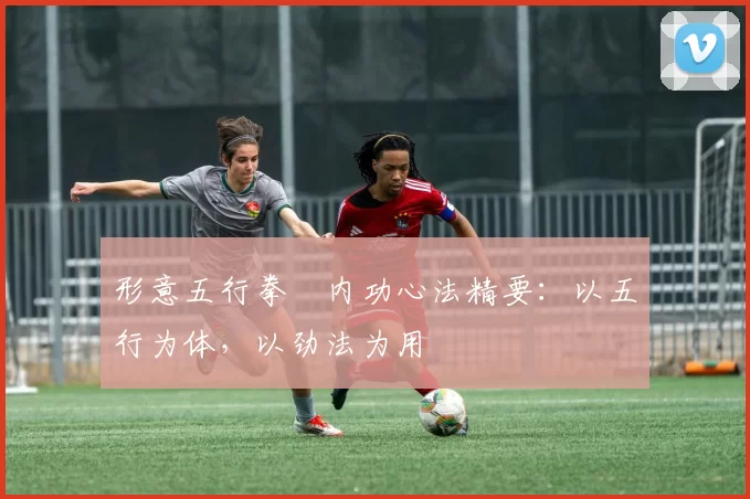 形意五行拳・内功心法精要：以五行为体，以劲法为用