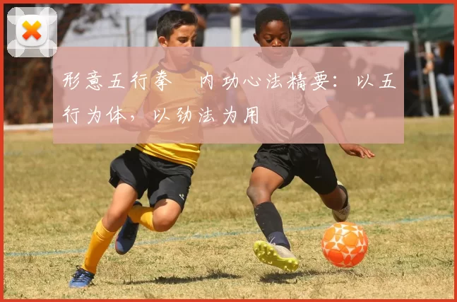 形意五行拳・内功心法精要：以五行为体，以劲法为用