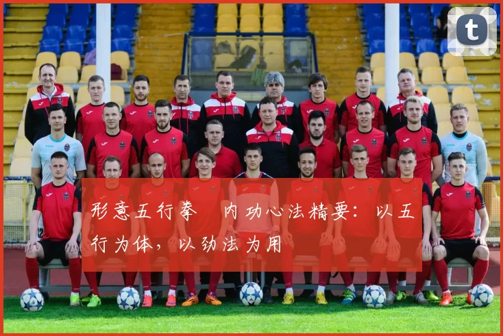 形意五行拳・内功心法精要：以五行为体，以劲法为用