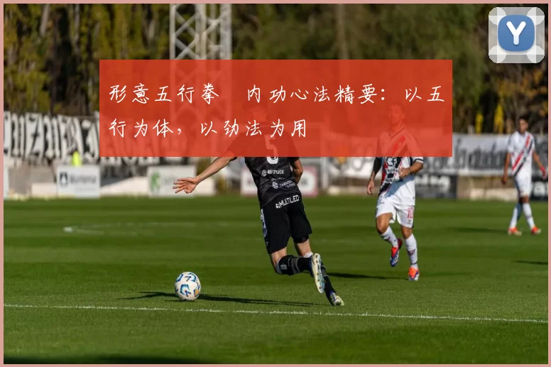 形意五行拳・内功心法精要：以五行为体，以劲法为用