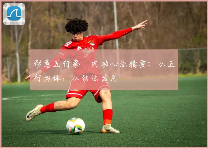 形意五行拳・内功心法精要：以五行为体，以劲法为用