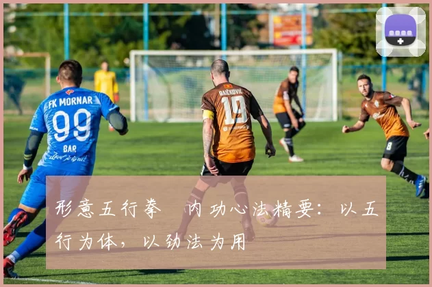 形意五行拳・内功心法精要：以五行为体，以劲法为用