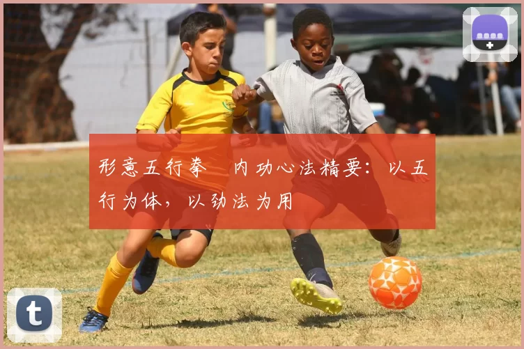 形意五行拳・内功心法精要：以五行为体，以劲法为用