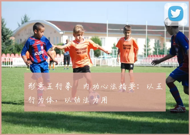 形意五行拳・内功心法精要:以五行为体,以劲法为用