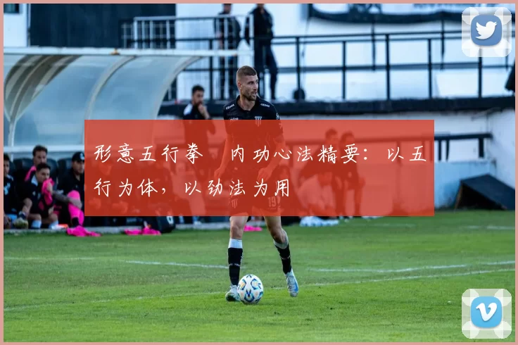 形意五行拳・内功心法精要：以五行为体，以劲法为用