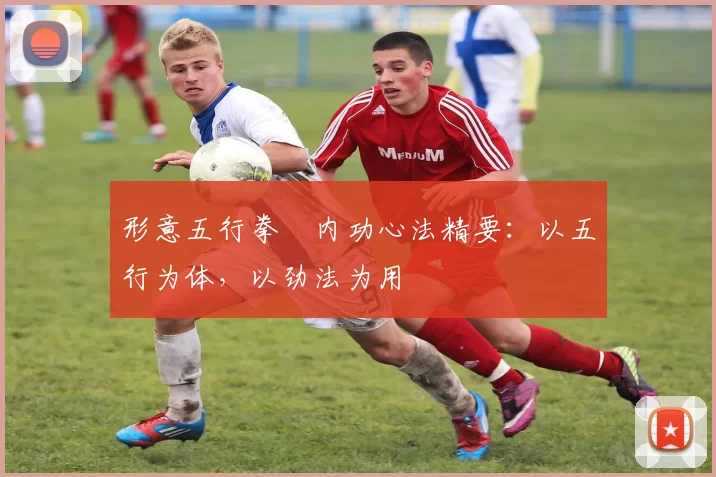 形意五行拳・内功心法精要:以五行为体,以劲法为用