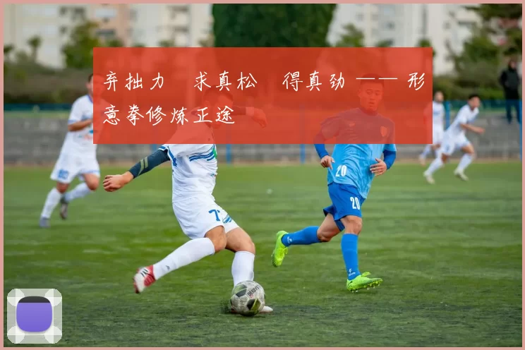 弃拙力・求真松・得真劲 —— 形意拳修炼正途