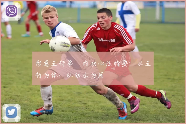 形意五行拳・内功心法精要:以五行为体,以劲法为用