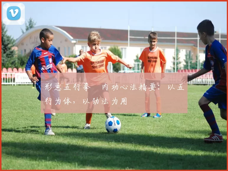 形意五行拳・内功心法精要：以五行为体，以劲法为用
