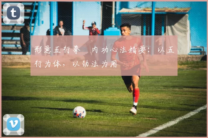 形意五行拳・内功心法精要：以五行为体，以劲法为用