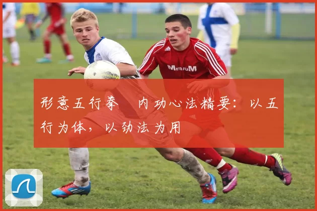 形意五行拳・内功心法精要:以五行为体,以劲法为用