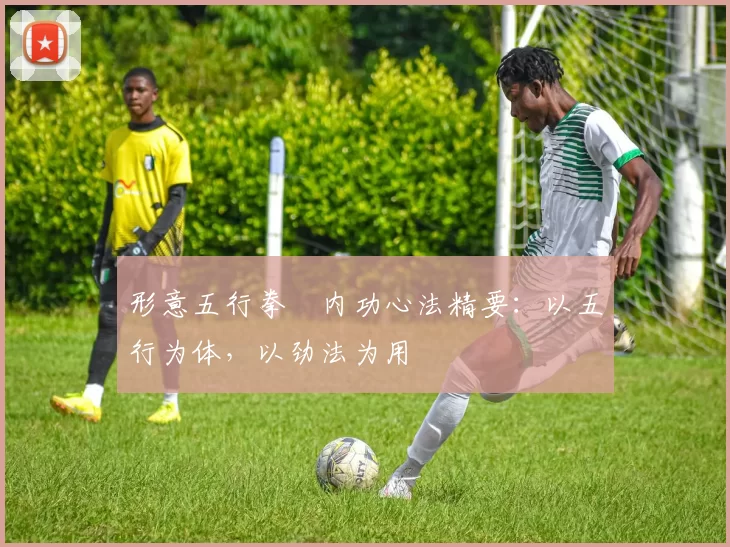 形意五行拳・内功心法精要：以五行为体，以劲法为用