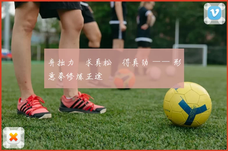 弃拙力・求真松・得真劲 —— 形意拳修炼正途