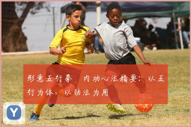 形意五行拳・内功心法精要：以五行为体，以劲法为用