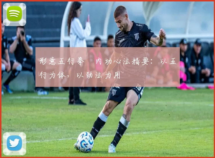 形意五行拳・内功心法精要:以五行为体,以劲法为用