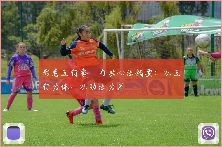 形意五行拳・内功心法精要：以五行为体，以劲法为用