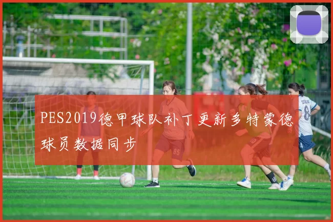 PES2019德甲球队补丁更新多特蒙德球员数据同步