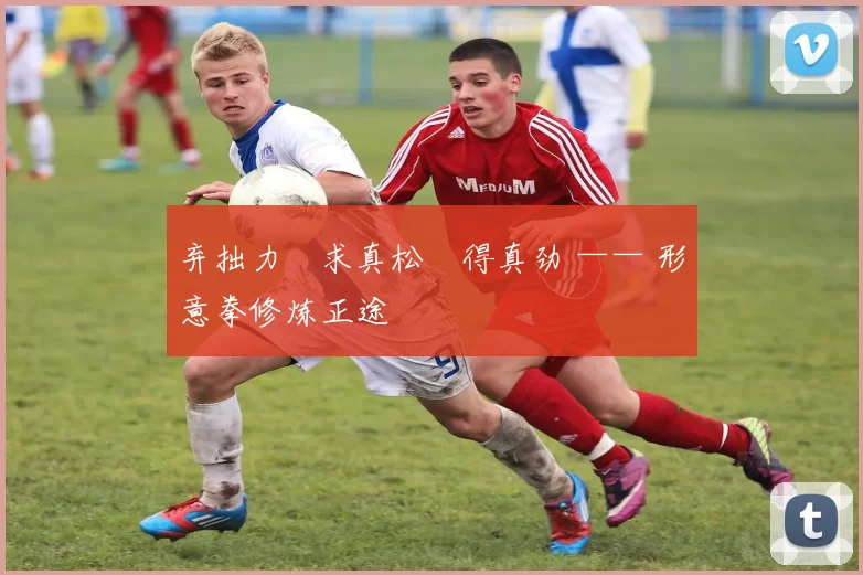 弃拙力・求真松・得真劲 —— 形意拳修炼正途