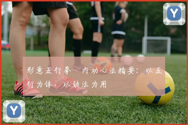 形意五行拳・内功心法精要：以五行为体，以劲法为用