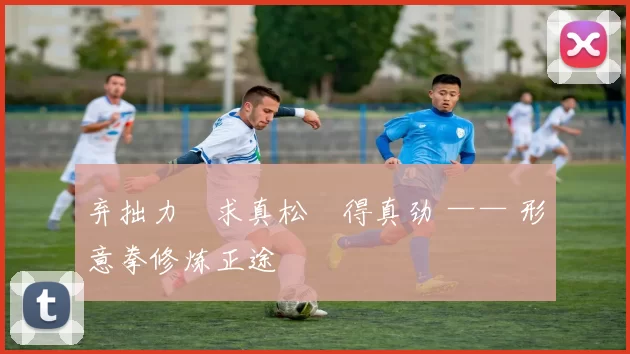 弃拙力・求真松・得真劲 —— 形意拳修炼正途