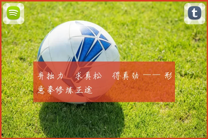 弃拙力・求真松・得真劲 —— 形意拳修炼正途