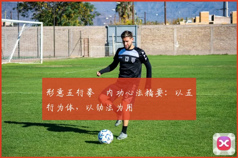 形意五行拳・内功心法精要：以五行为体，以劲法为用