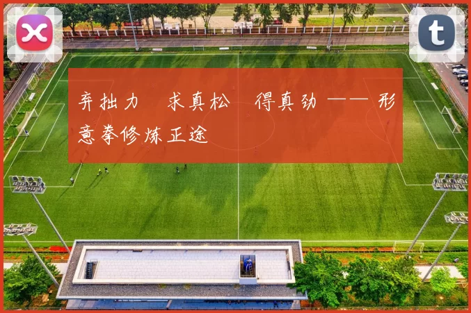 弃拙力・求真松・得真劲 —— 形意拳修炼正途