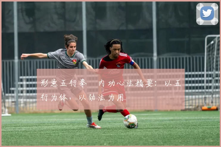 形意五行拳・内功心法精要：以五行为体，以劲法为用