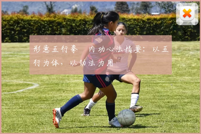 形意五行拳・内功心法精要：以五行为体，以劲法为用