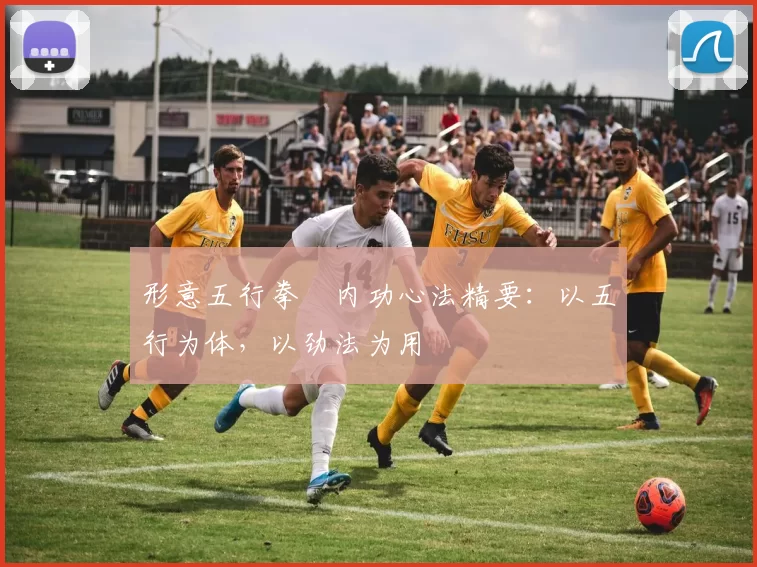 形意五行拳・内功心法精要：以五行为体，以劲法为用