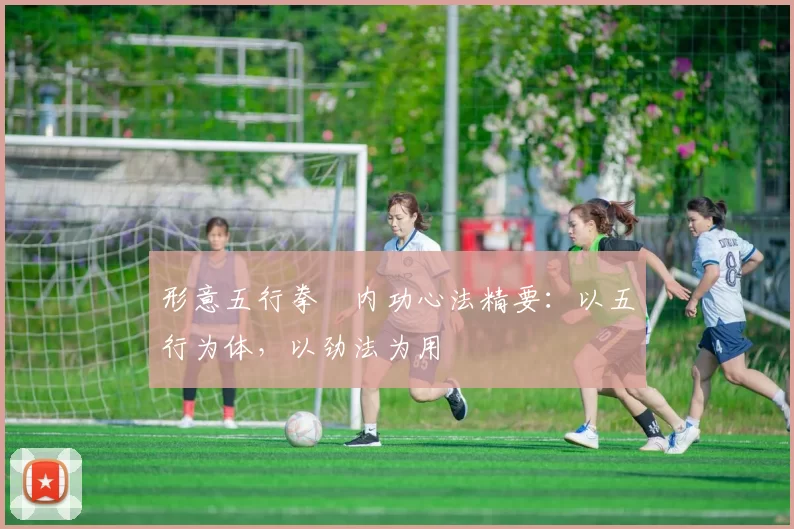 形意五行拳・内功心法精要：以五行为体，以劲法为用