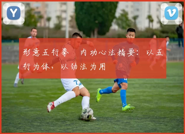 形意五行拳・内功心法精要：以五行为体，以劲法为用